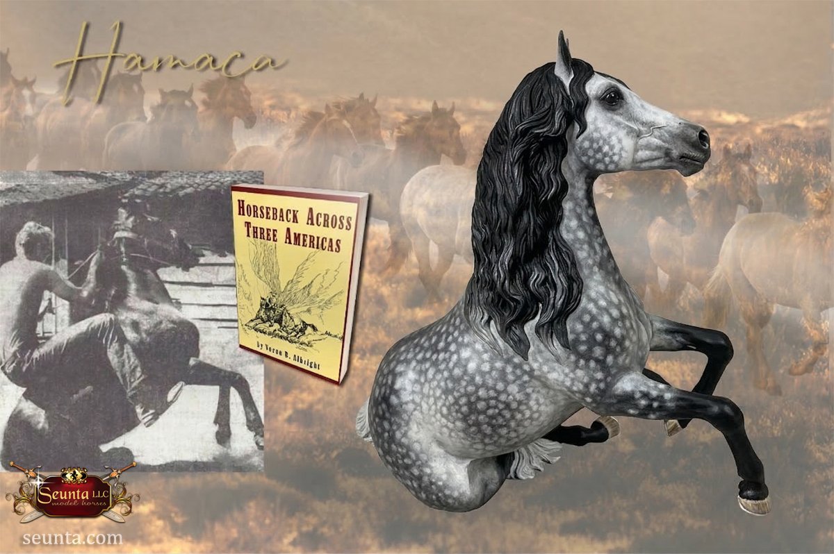 Hamaca