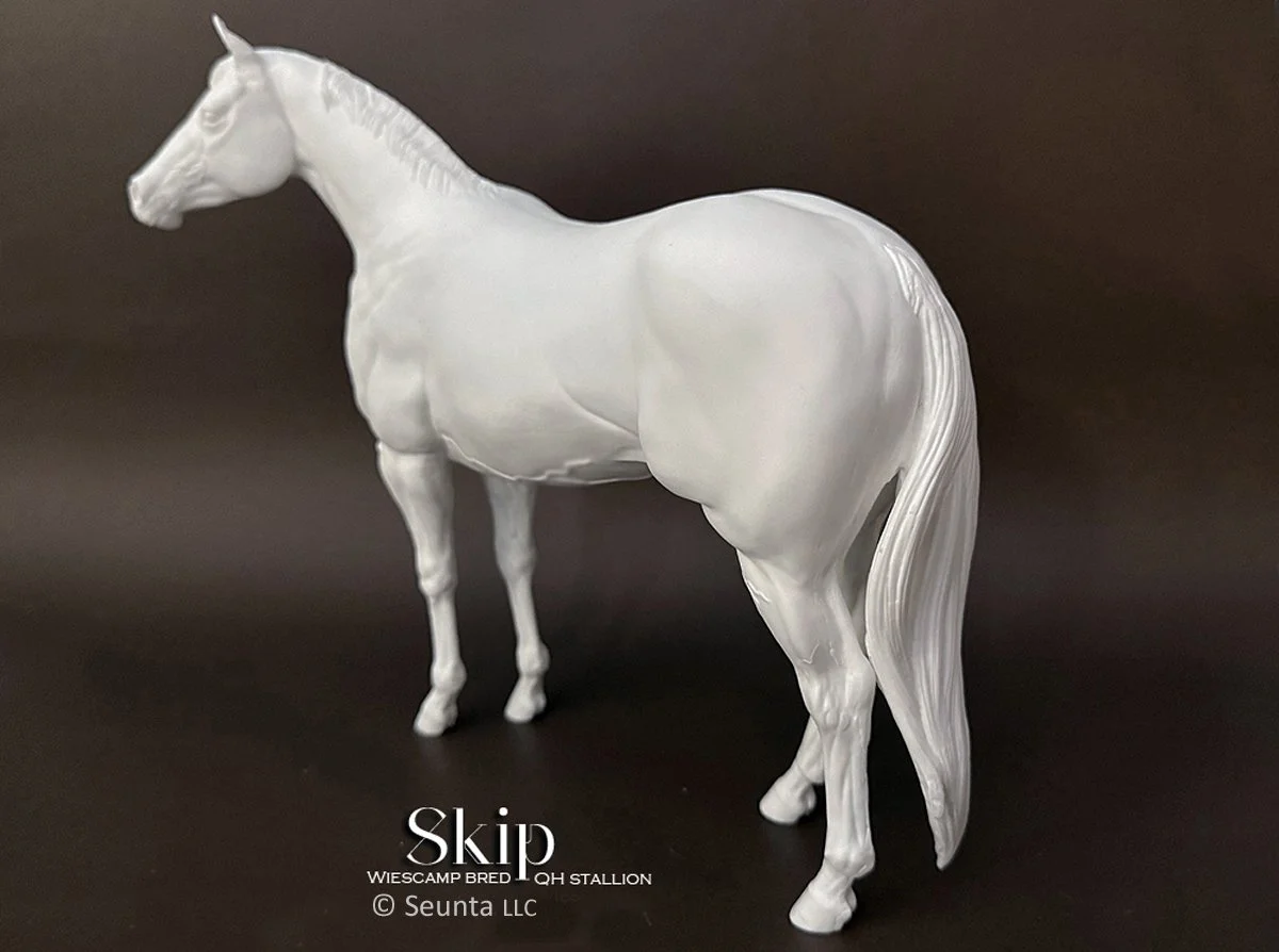skip-1.jpg