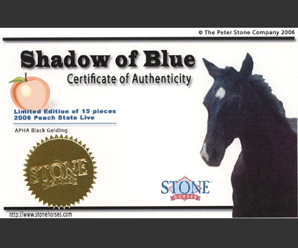 shadowCOA.jpg