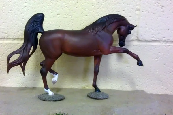 IMAG1305.jpg