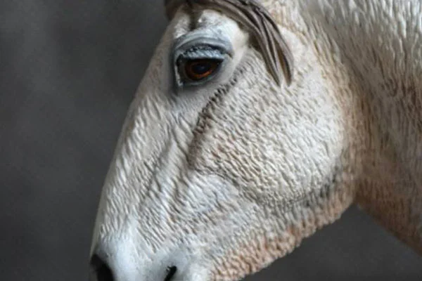 gray3.jpg
