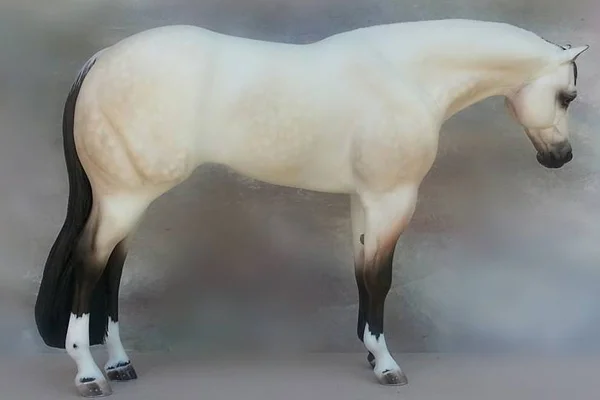 11745871_858290140923823_1278023943339435416_n.jpg