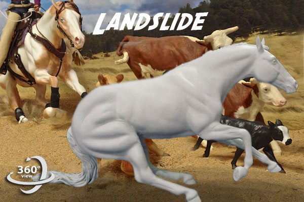 Landslide