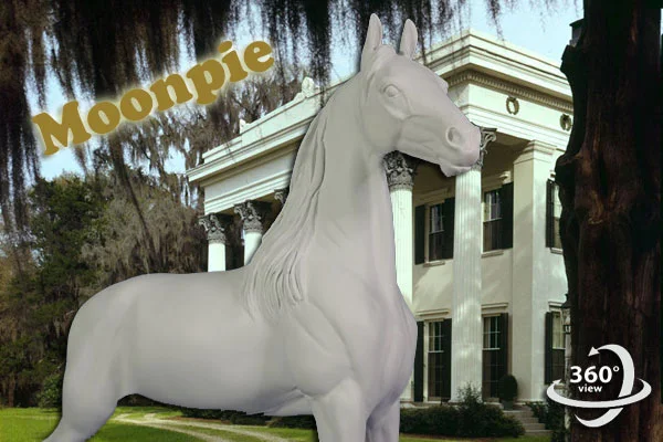 moonpie_maini.jpg