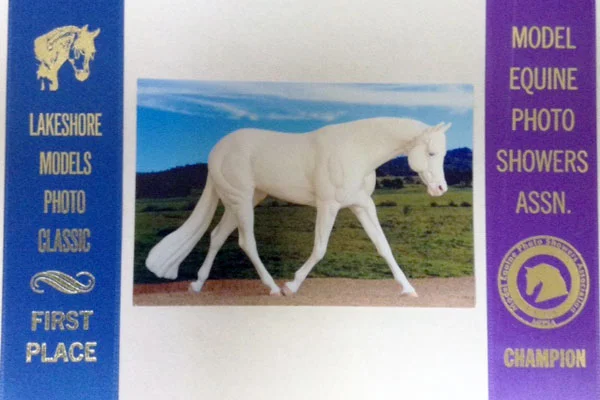FullSizeRender.jpg