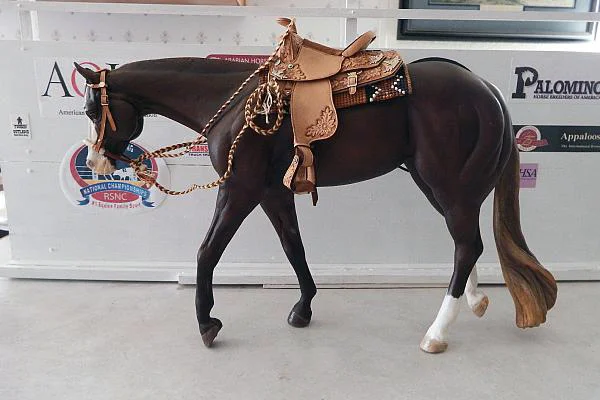 10917.1116132.1_classyundersaddle001.jpg