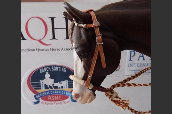 10917.1116132.3_classyundersaddle002.jpg
