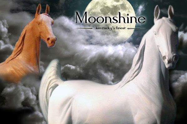 main_moonshine3.jpg