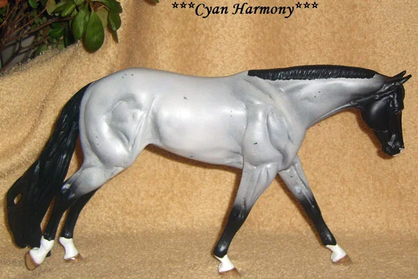 Amity_CyanHarmony1 (1).jpg
