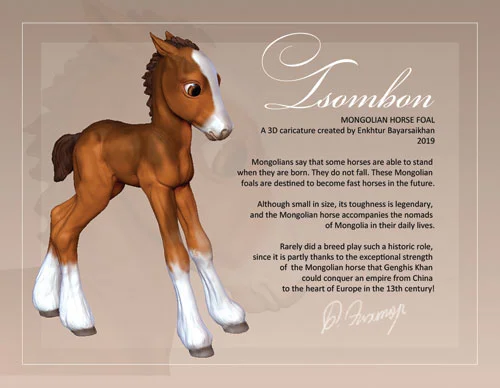 1_Tsombon_foal_front.jpg