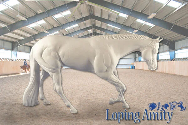 Loping Amity