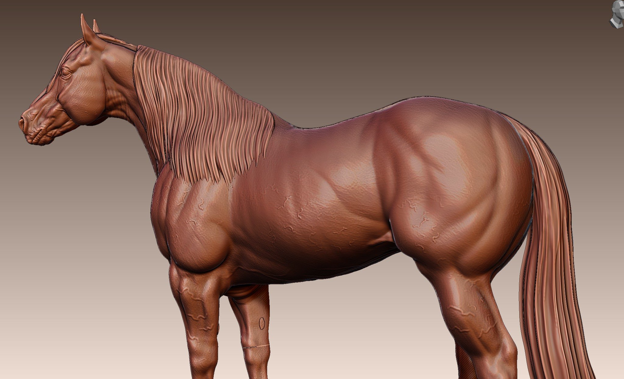 Super Horse 3D by Superdik B.V.