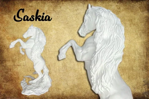 saskia-main.jpg
