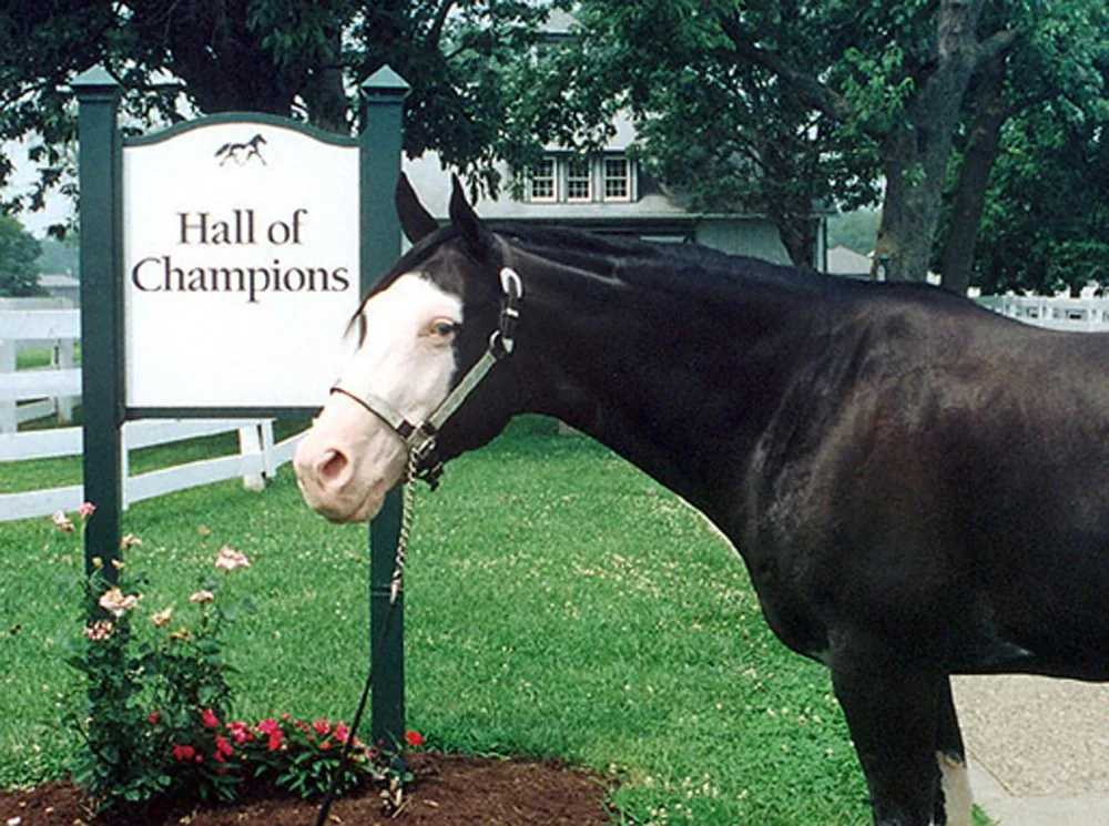 A Heartfelt BreyerFest Memory