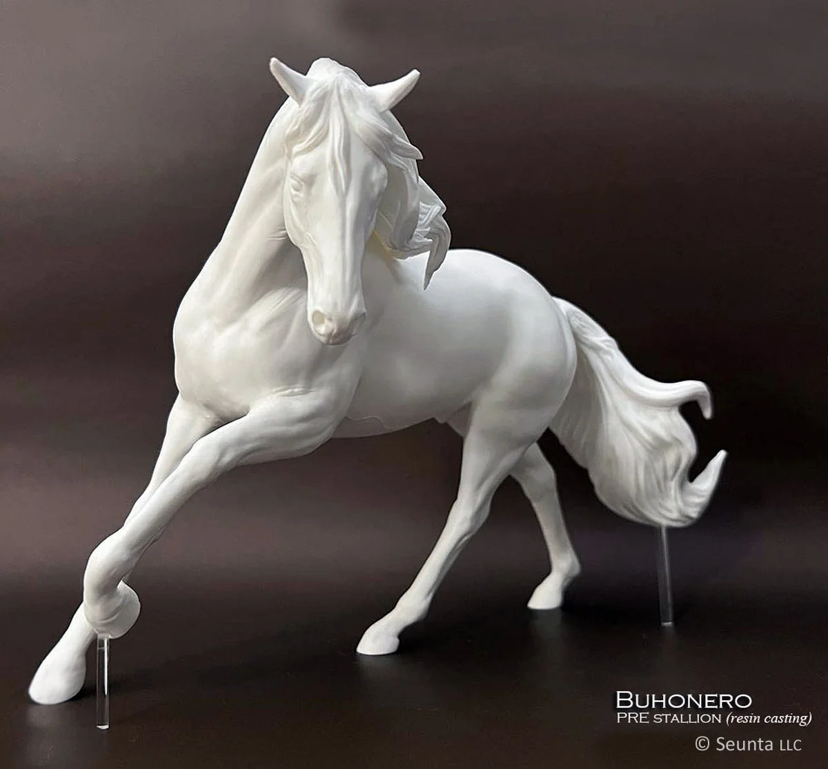 buhonero-6.jpg