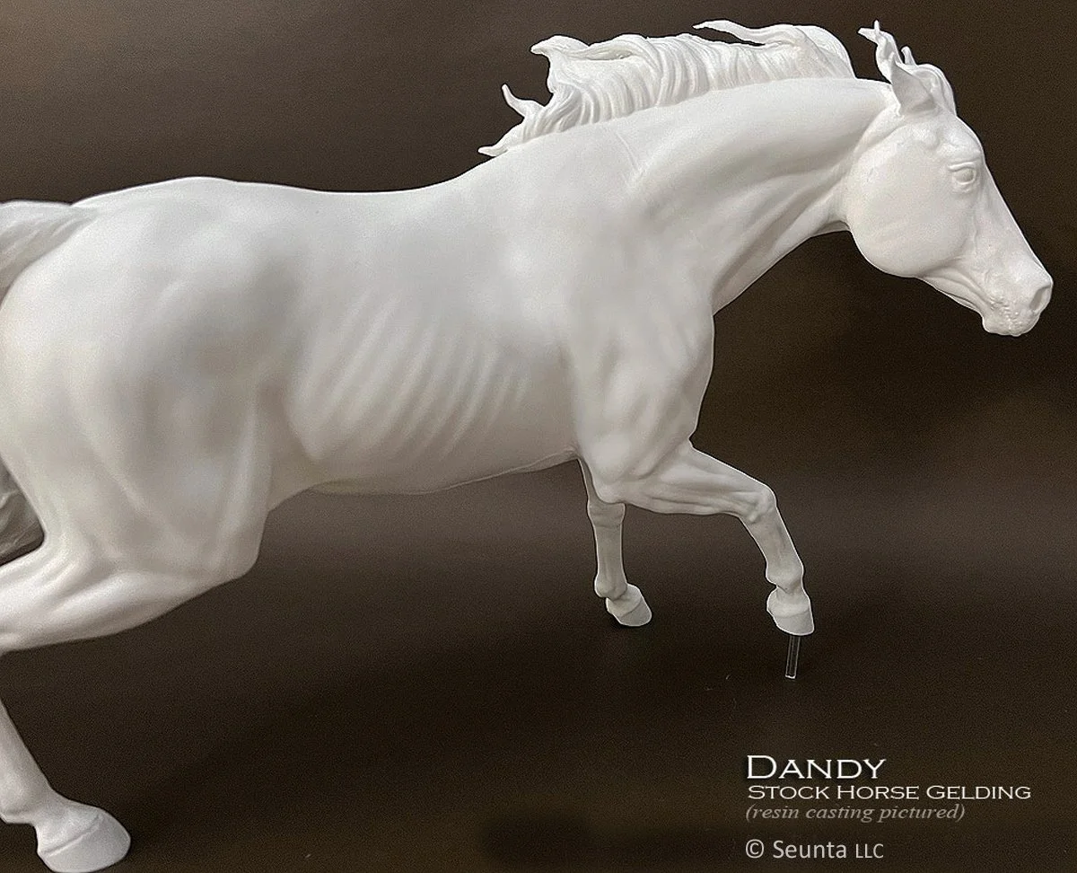 dandy-6.jpg