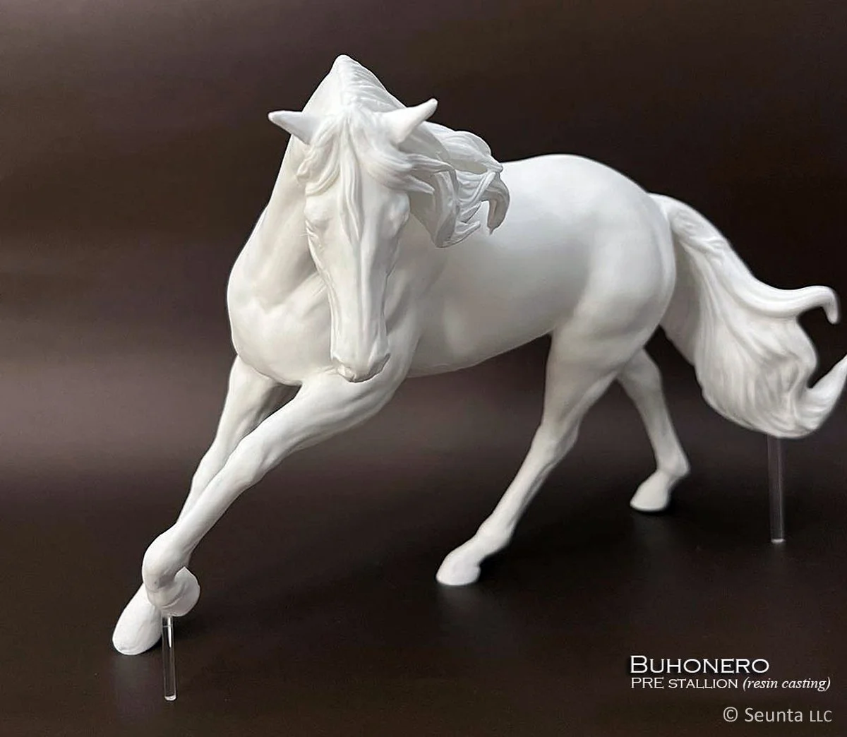 buhonero-9.jpg