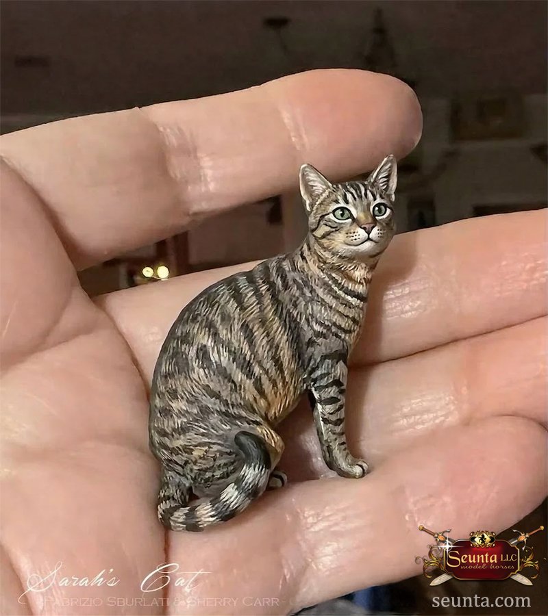 6-cat.jpg