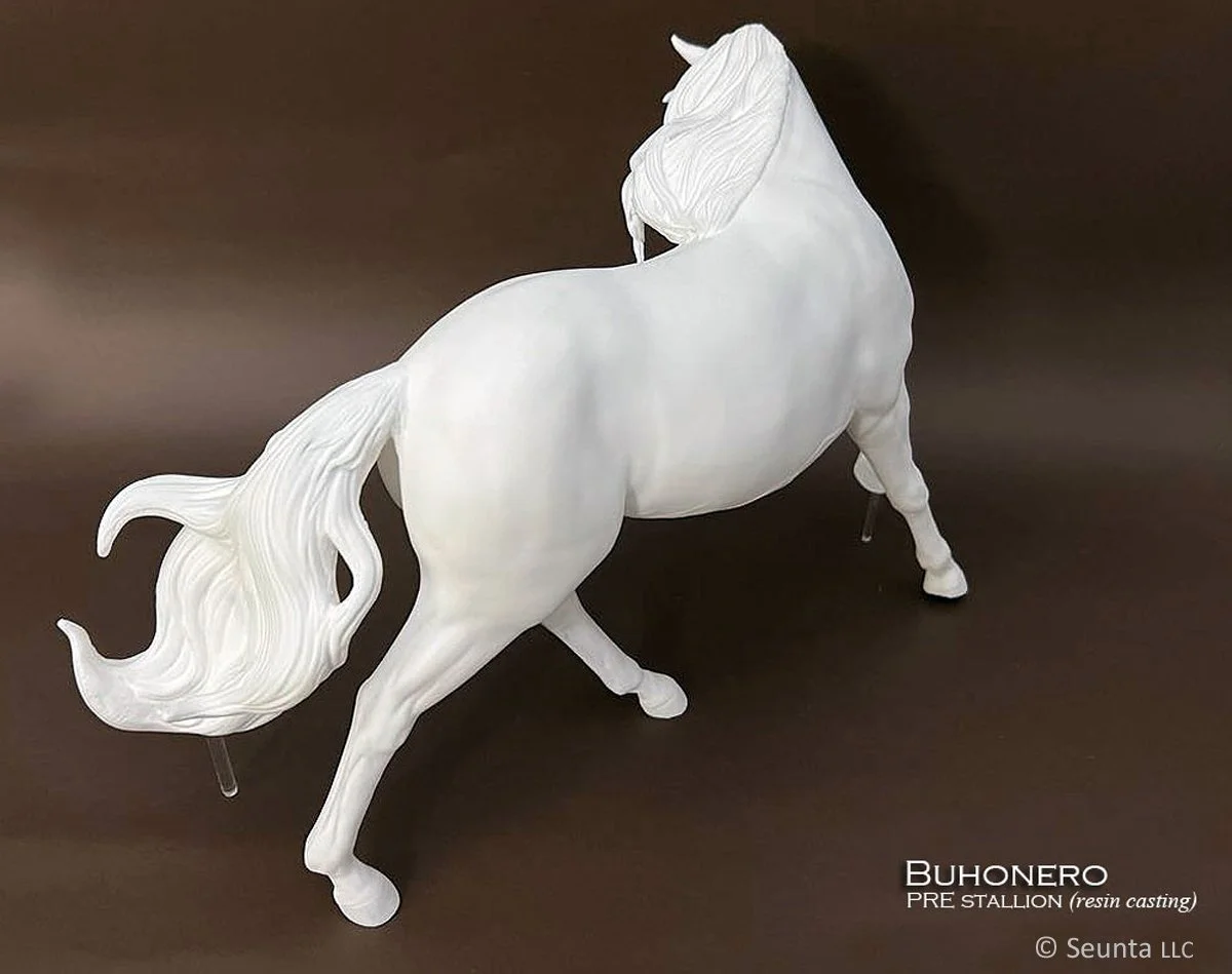 buhonero-15.jpg