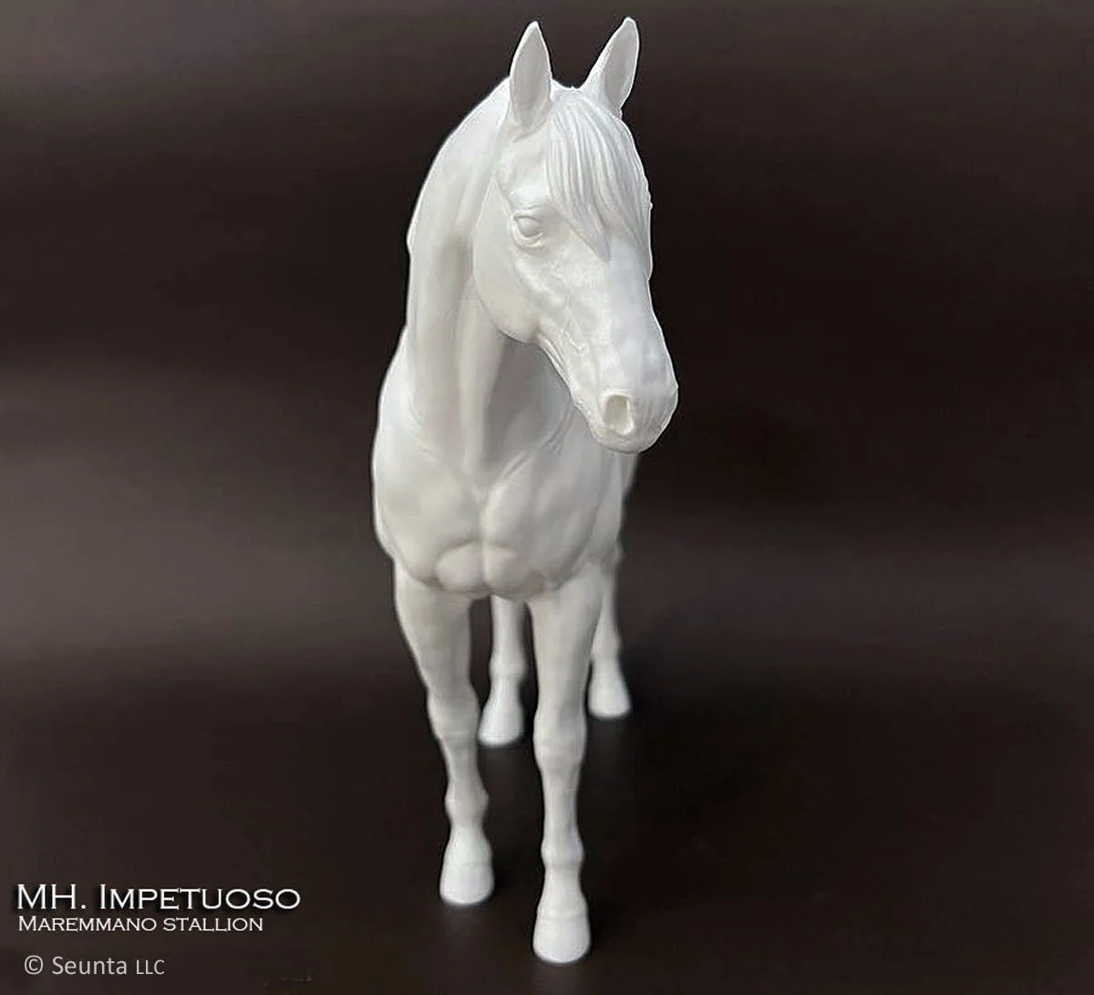 impetuoso-10.jpg
