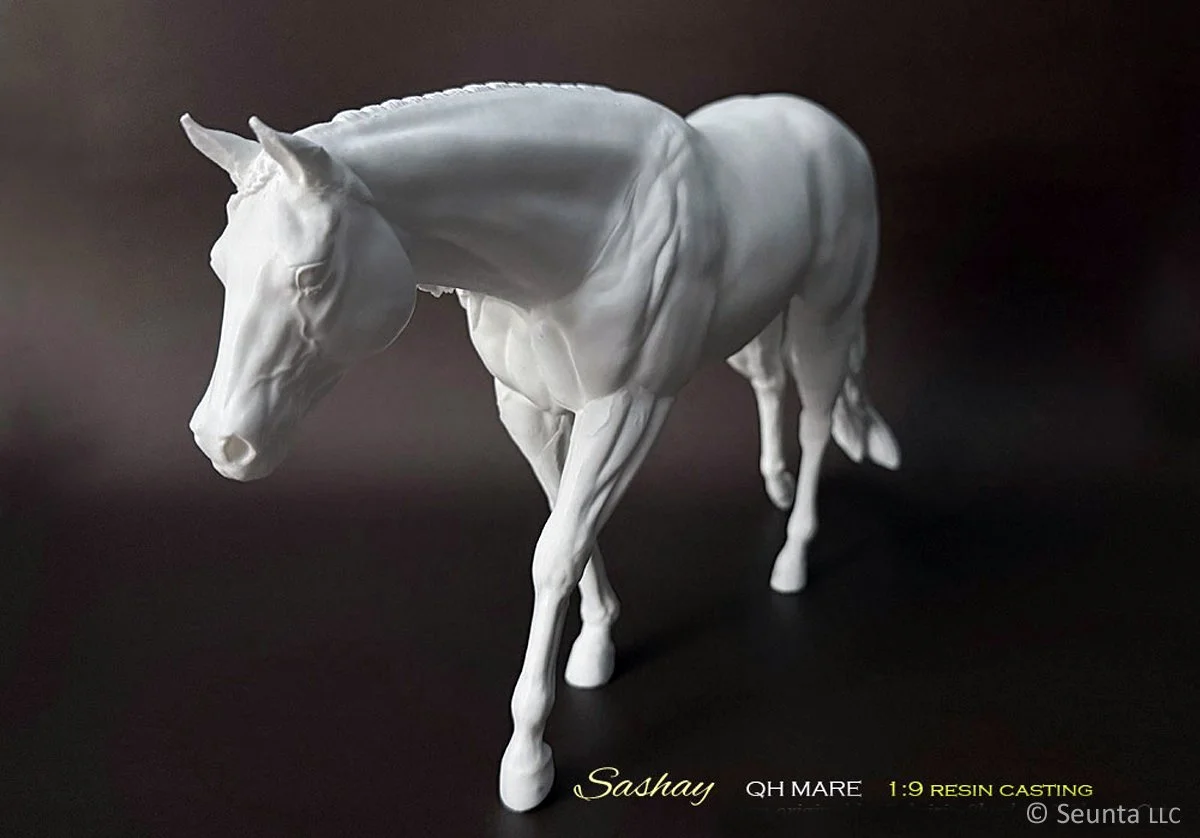 sashay-8.jpg