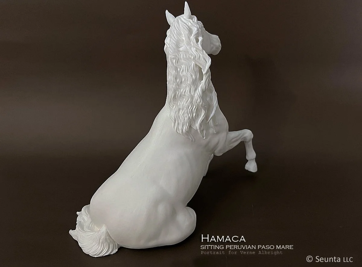 hamaca-9.jpg