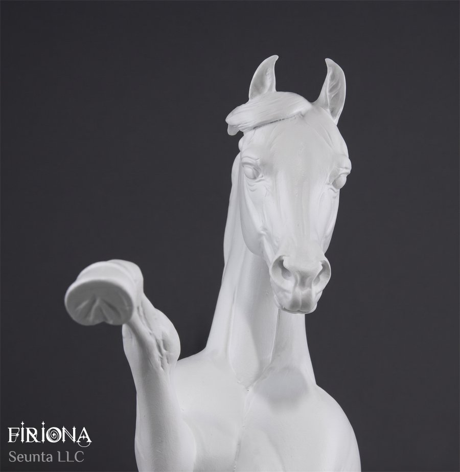 firiona-18.jpg
