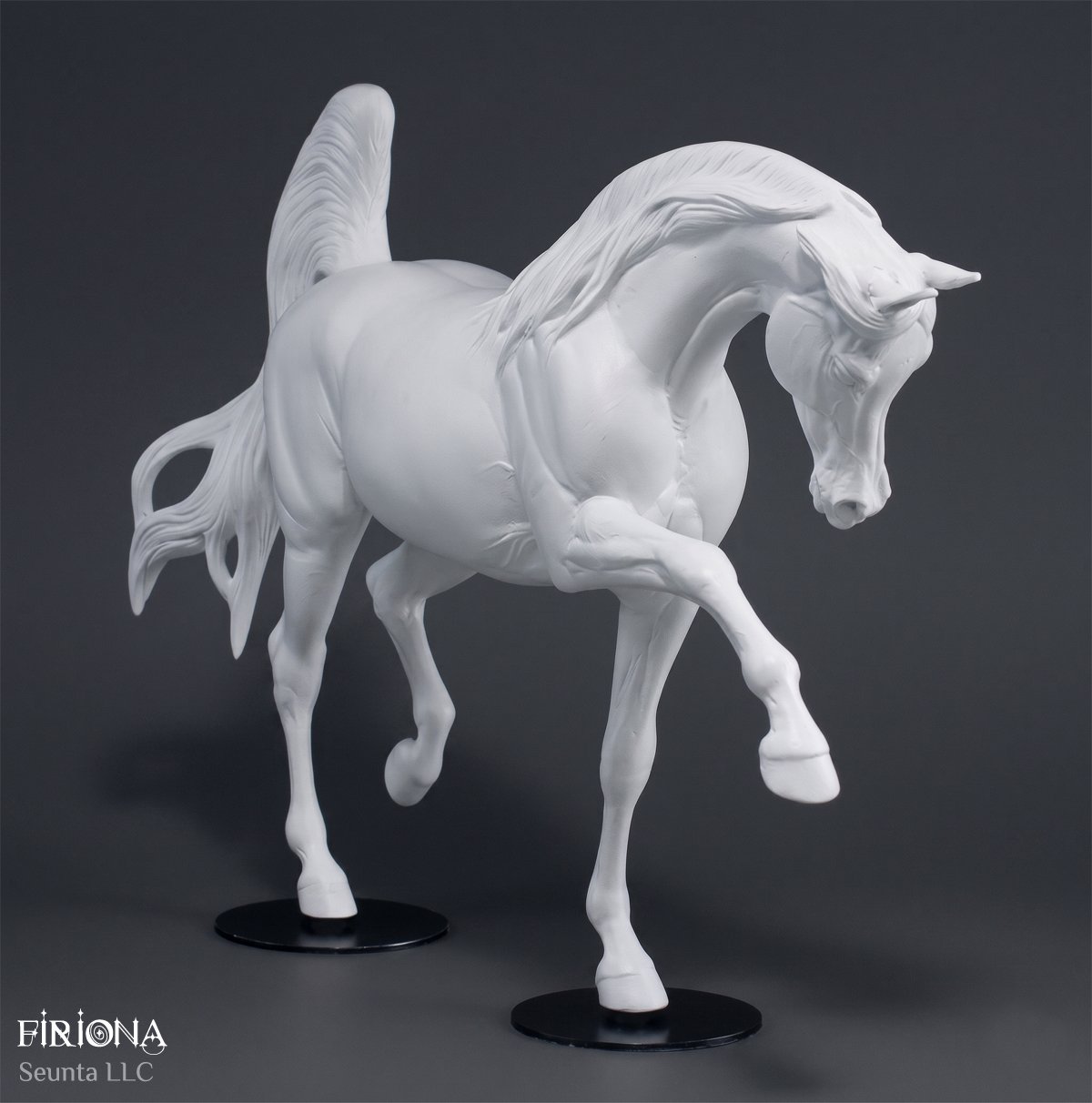 firiona-16.jpg