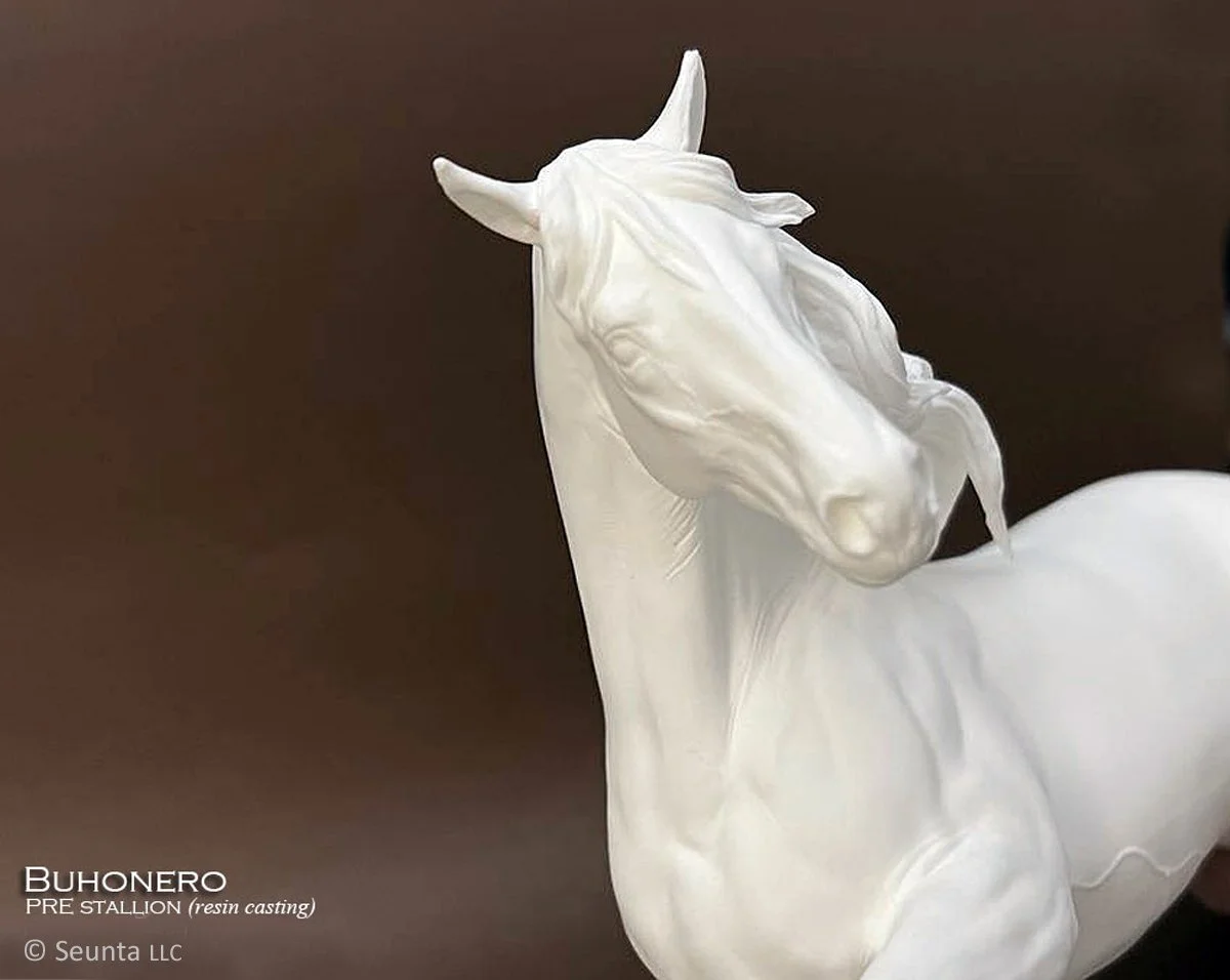 buhonero-18.jpg