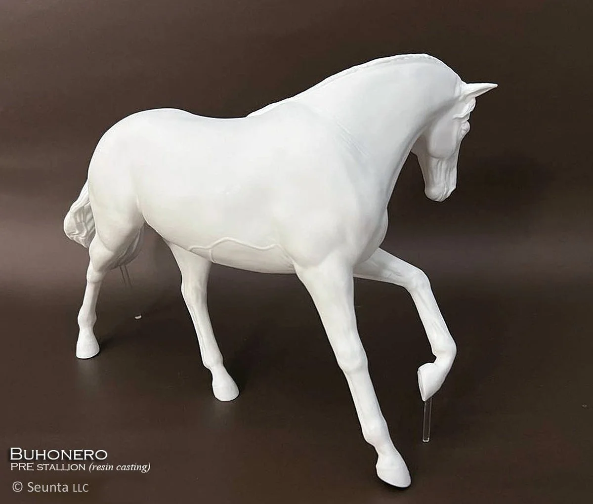 buhonero-3.jpg