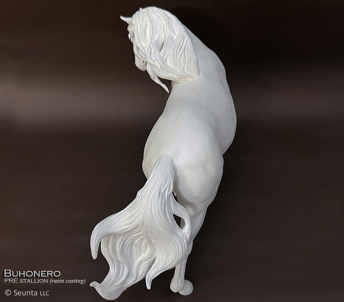buhonero-5.jpg