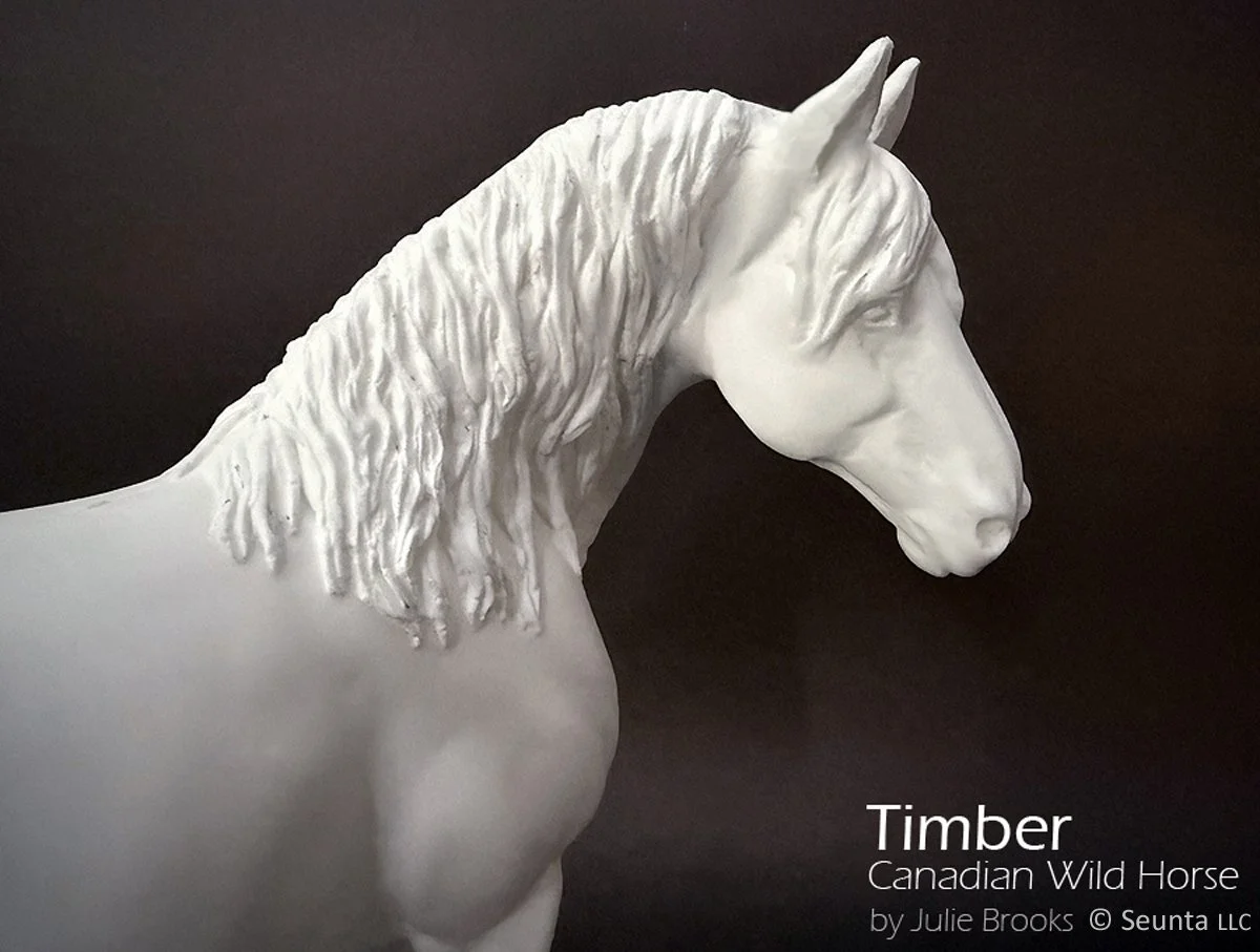 timber-10.jpg