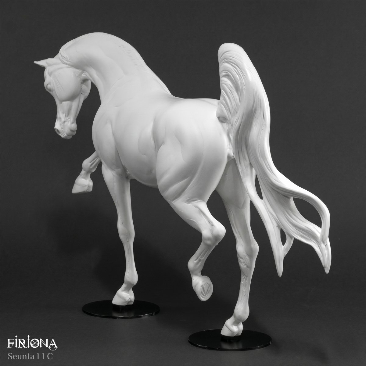 firiona-12.jpg