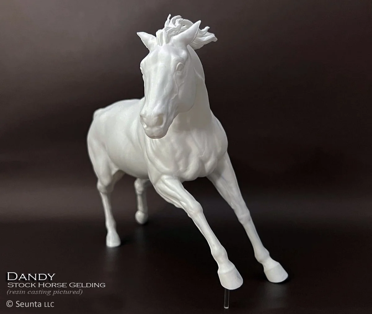 dandy-9.jpg