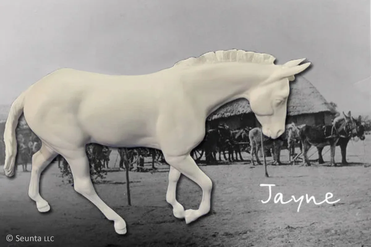 _jayne-main.jpg