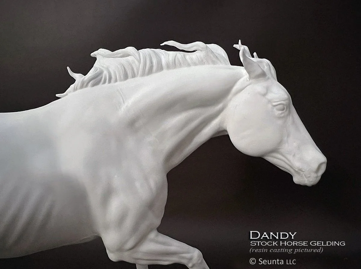 dandy-4.jpg
