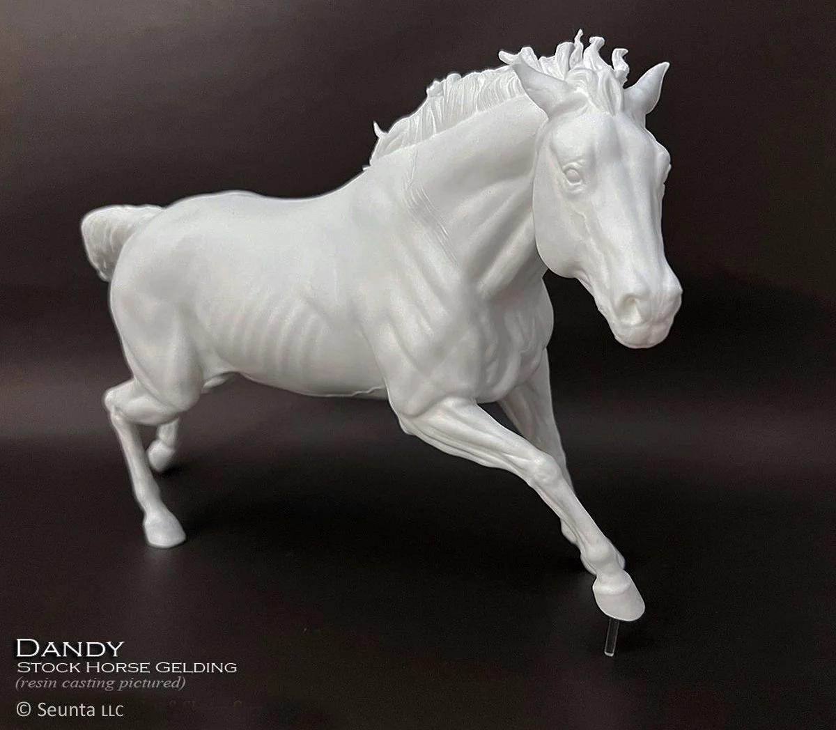 dandy-3.jpg