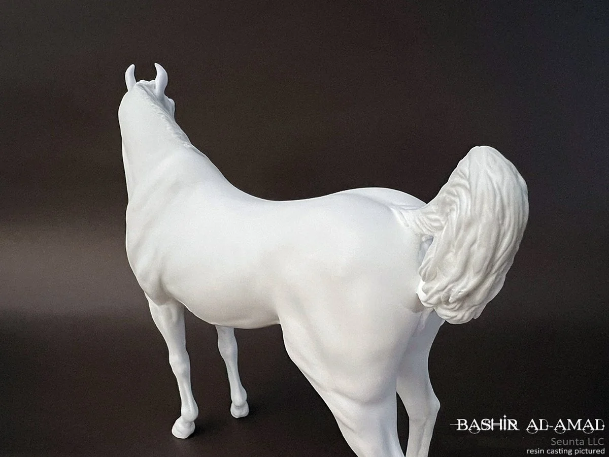 bashir-10.jpg