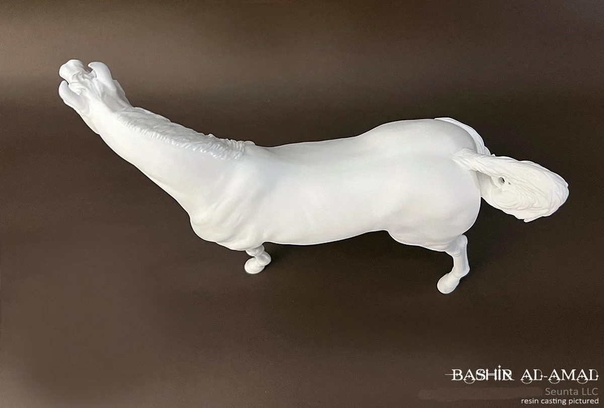 bashir-8.jpg