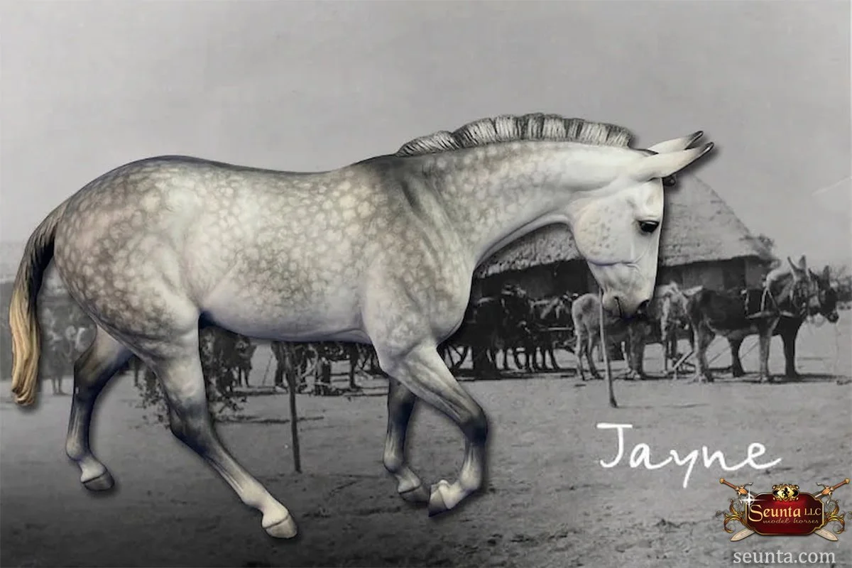 Jayne