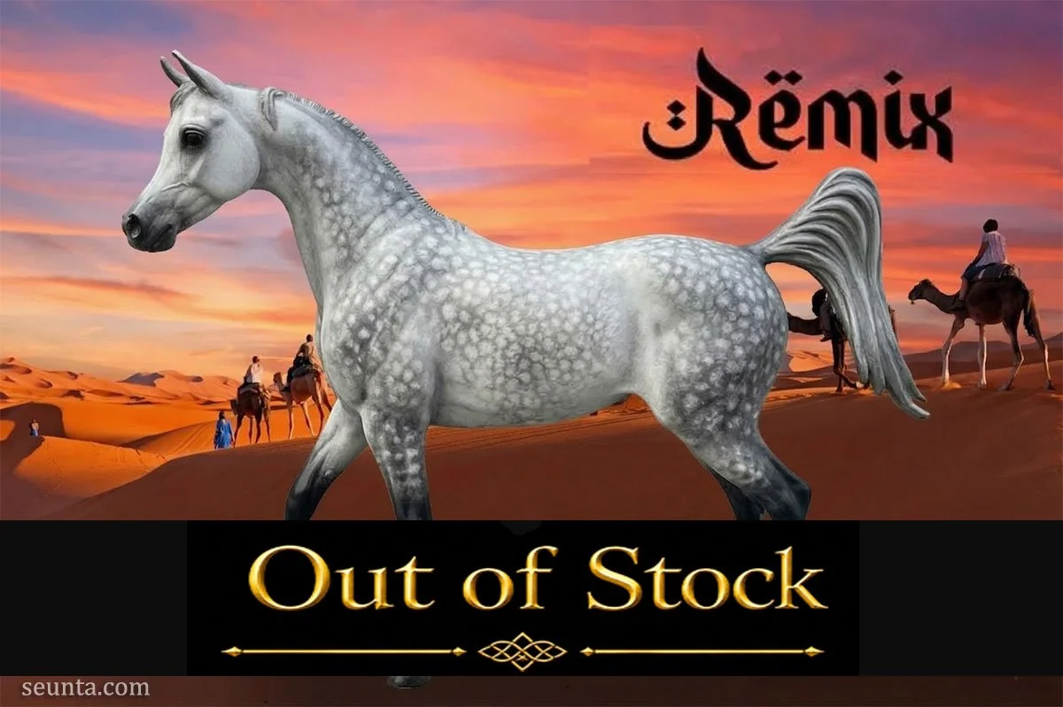 Remix