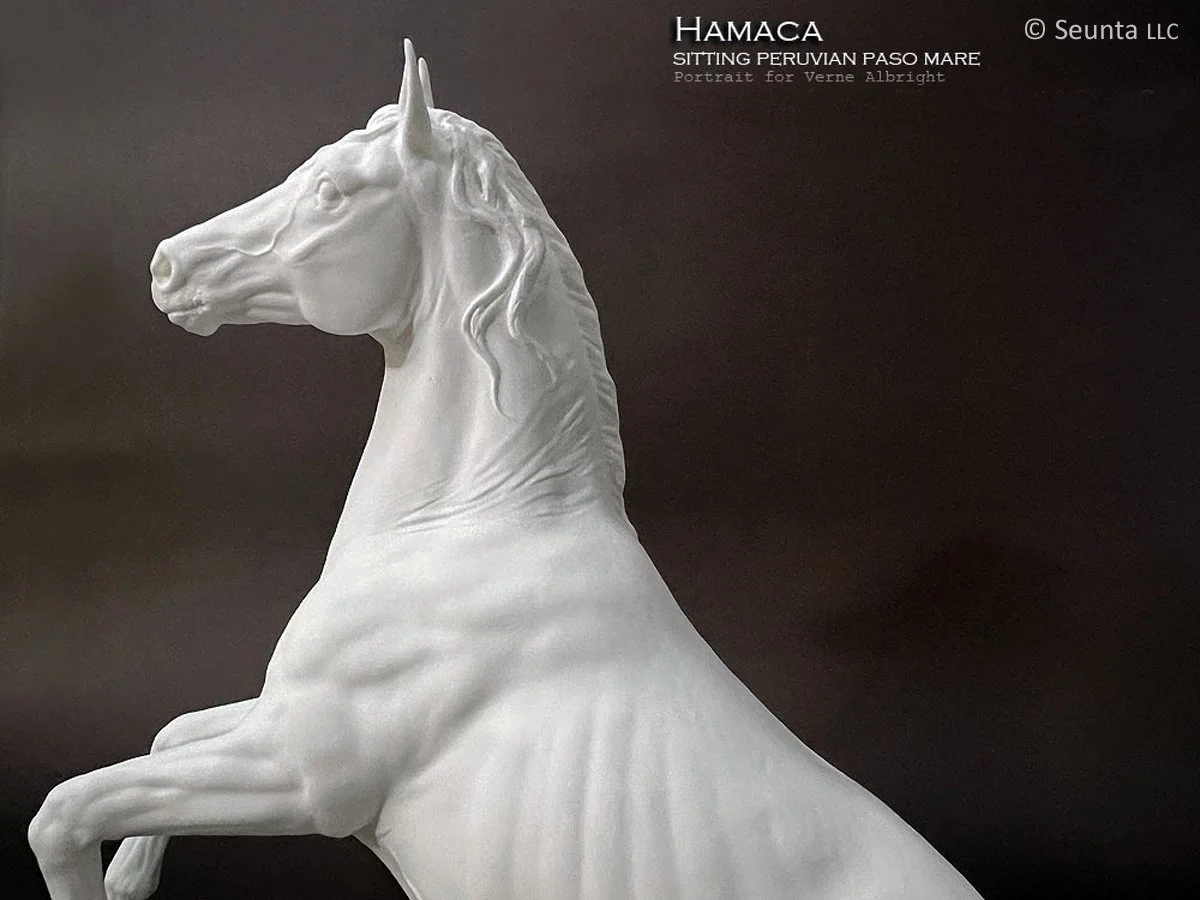 hamaca-13.jpg