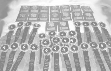 1ribbons2.jpg