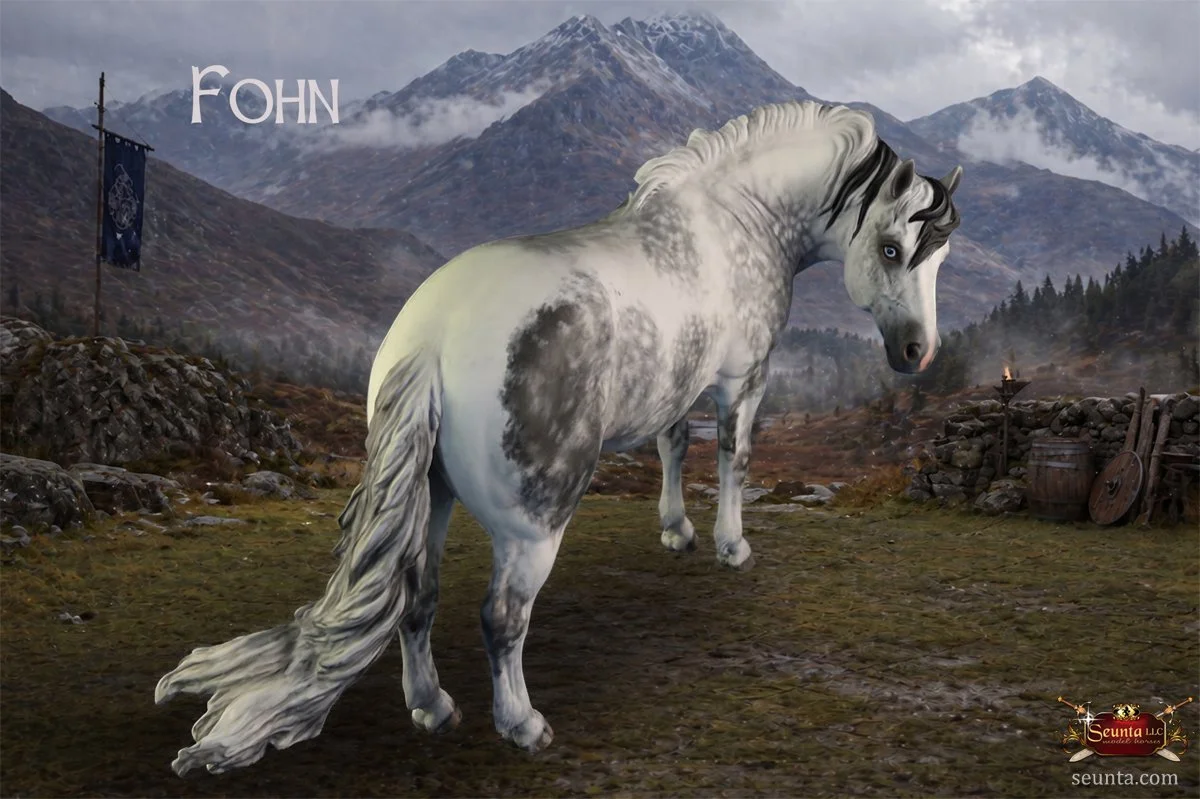 18-fohn.jpg