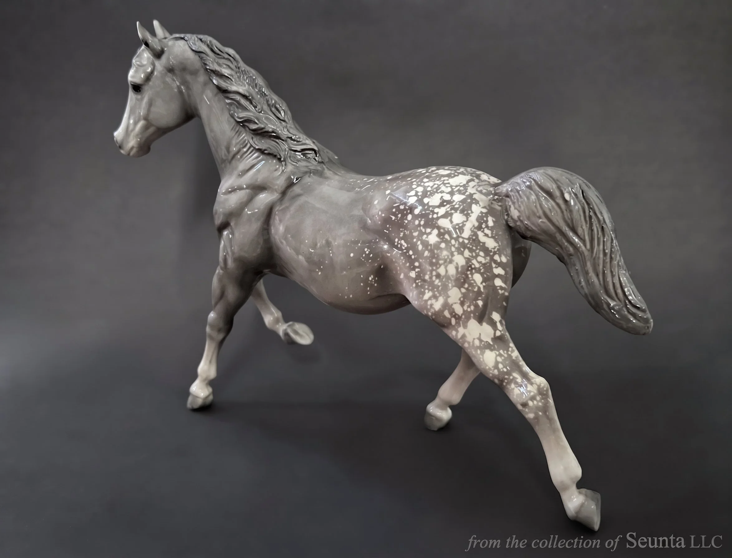 Glossy Dapple Gray Running Mare