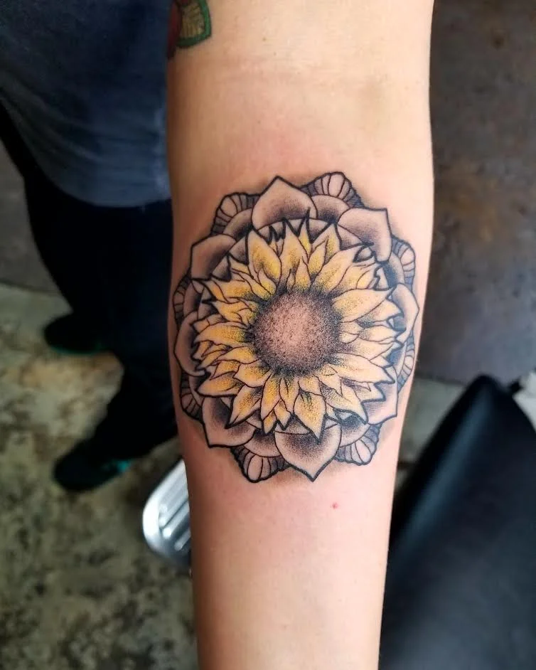 sunflower.jpg
