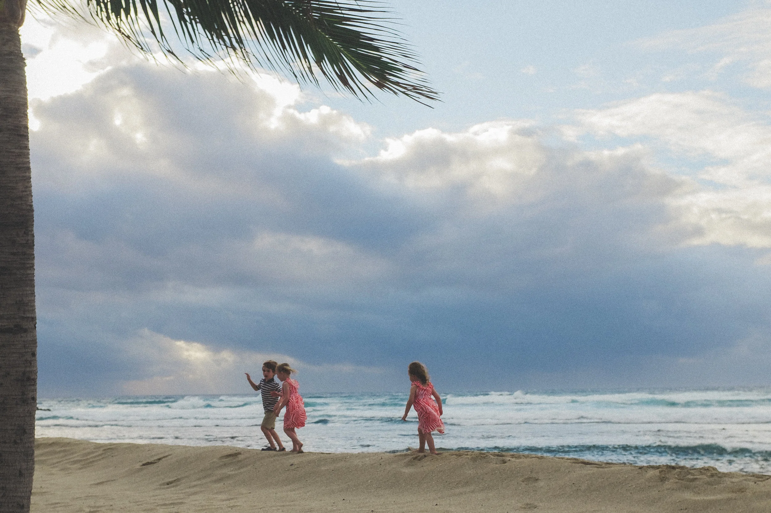 JakubowskyHawaii2015-50.jpg