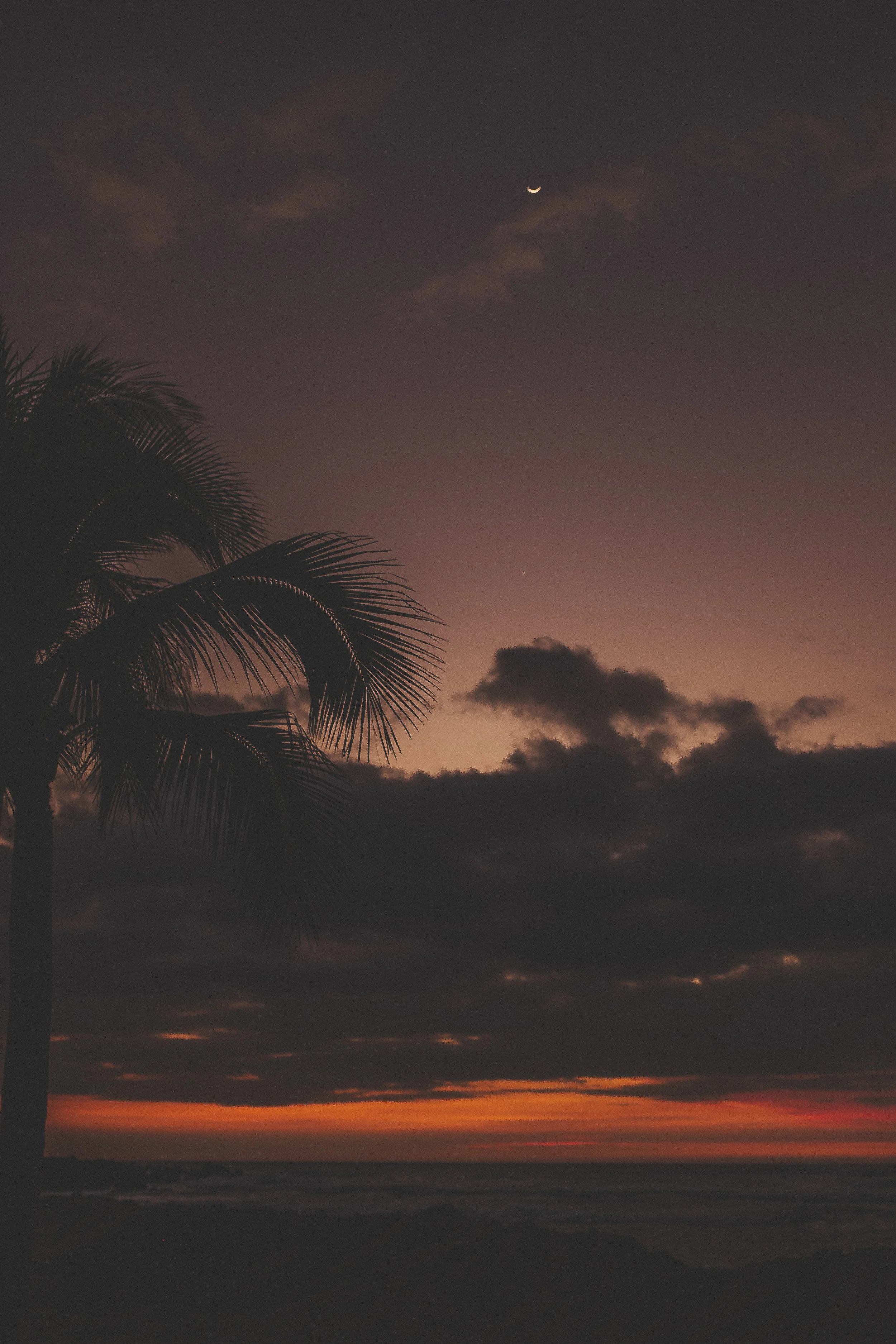 JakubowskyHawaii2015-354.jpg