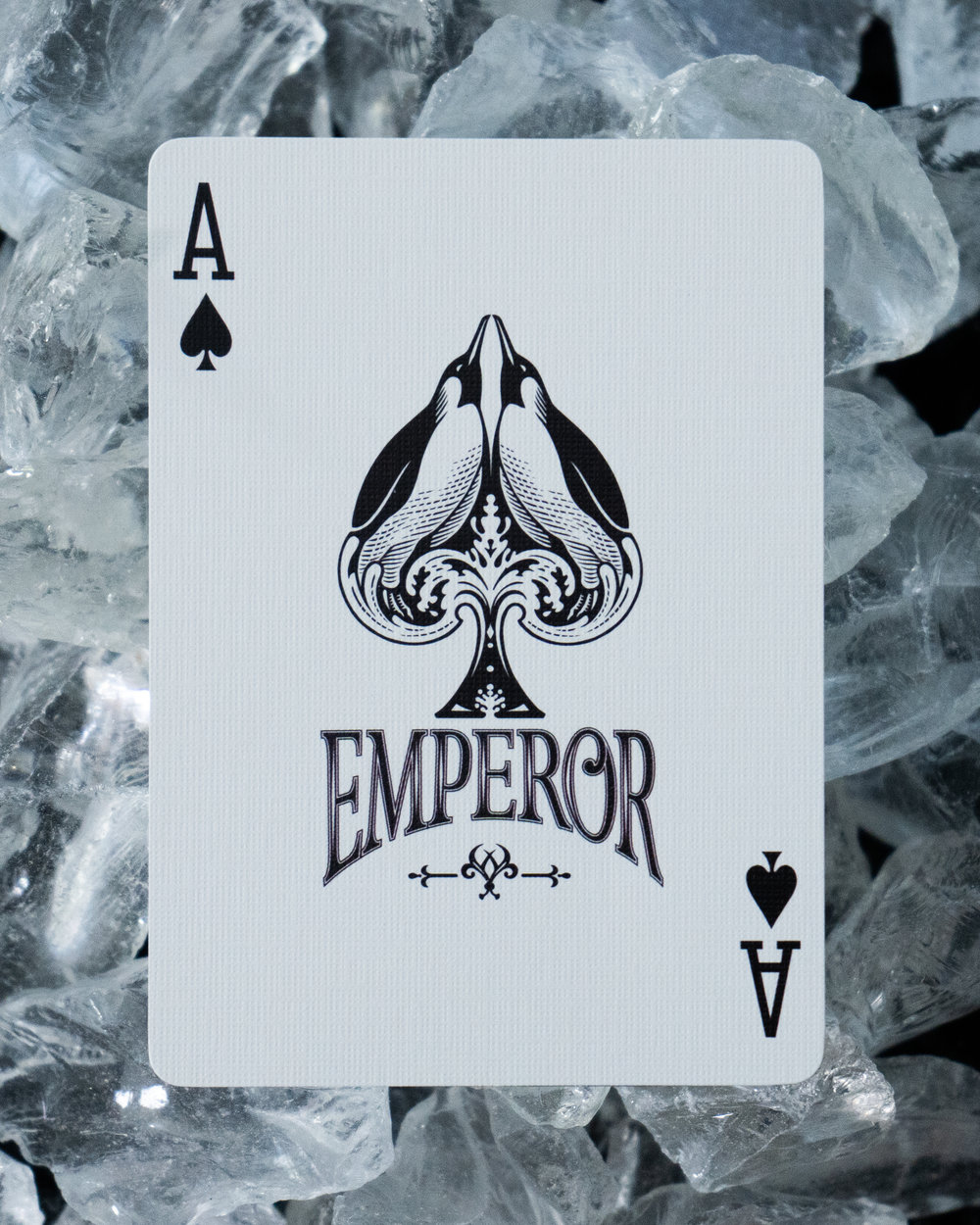 Emperor Ace Ice 4x5.jpg