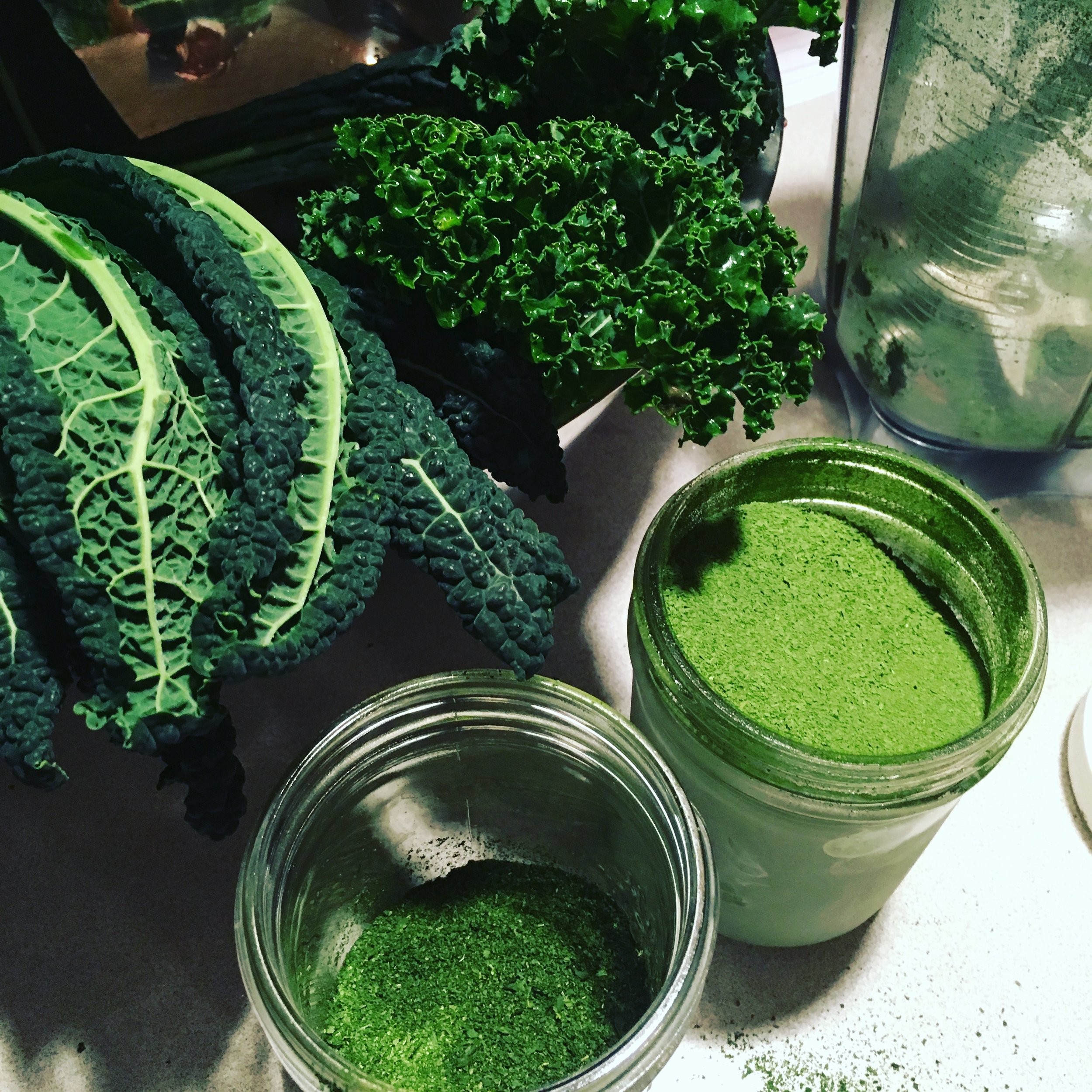 Fresh dehydrated kale powder. &nbsp;The dark green in dinosaur kale, the light green is krinkle kale.&nbsp;